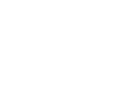 Evolution games at Wild Coins Casino