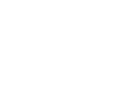 NetEnt games at Wild Coins Casino